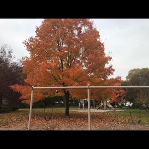 Meet your Posher, Jee